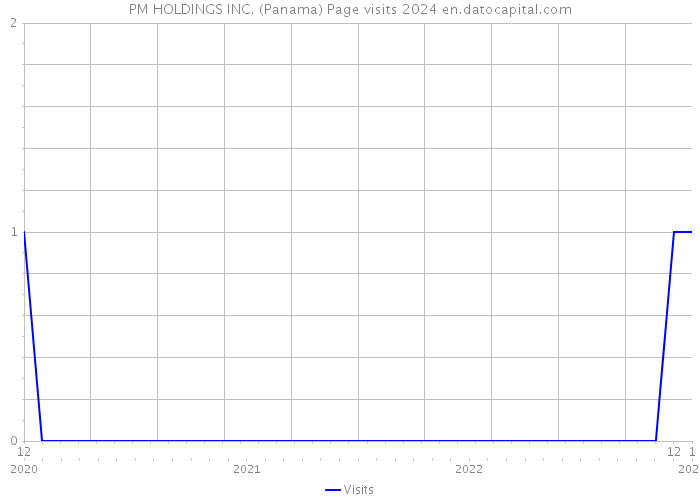 PM HOLDINGS INC. (Panama) Page visits 2024 