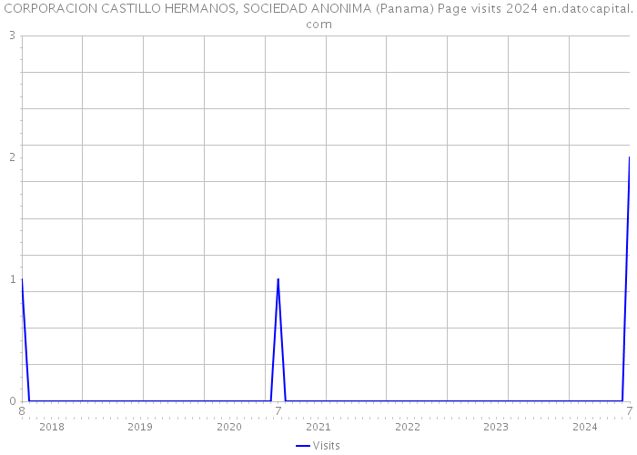 CORPORACION CASTILLO HERMANOS, SOCIEDAD ANONIMA (Panama) Page visits 2024 