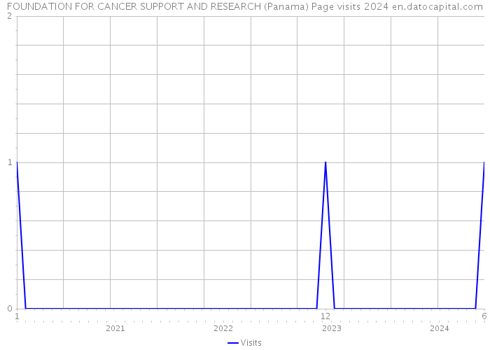 FOUNDATION FOR CANCER SUPPORT AND RESEARCH (Panama) Page visits 2024 