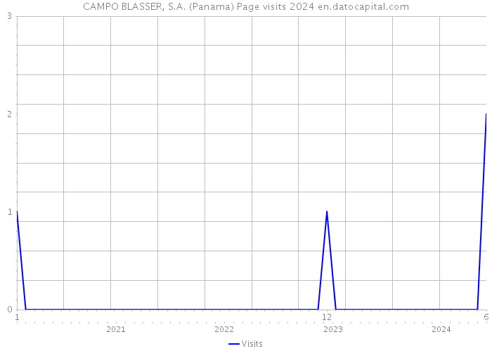 CAMPO BLASSER, S.A. (Panama) Page visits 2024 