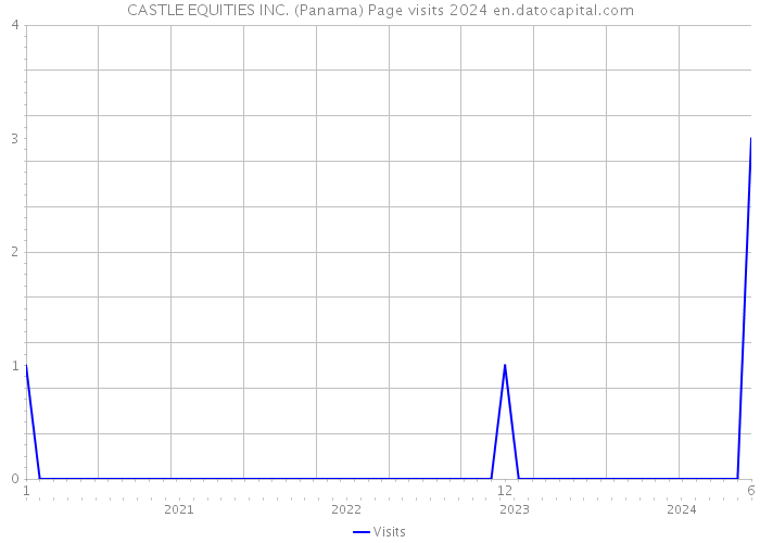 CASTLE EQUITIES INC. (Panama) Page visits 2024 