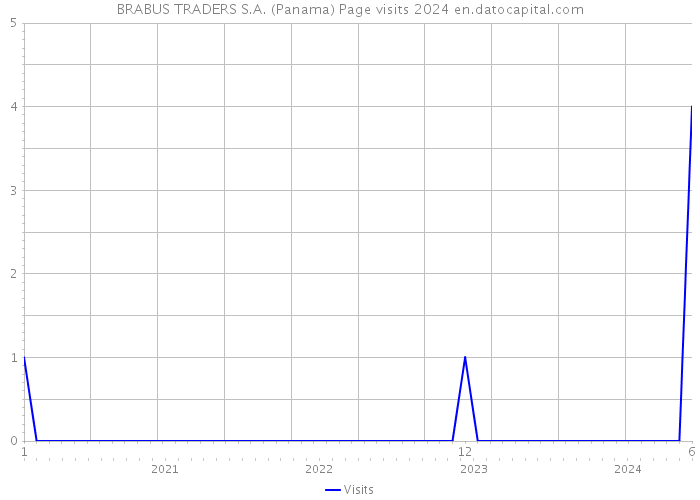 BRABUS TRADERS S.A. (Panama) Page visits 2024 