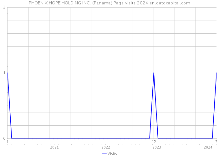 PHOENIX HOPE HOLDING INC. (Panama) Page visits 2024 