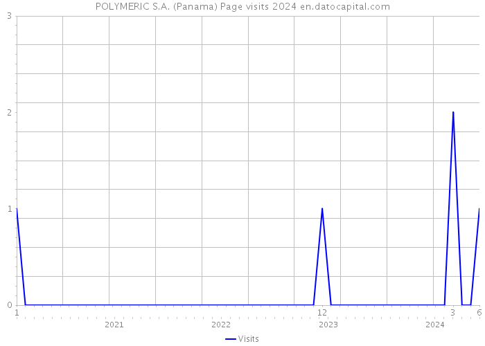 POLYMERIC S.A. (Panama) Page visits 2024 