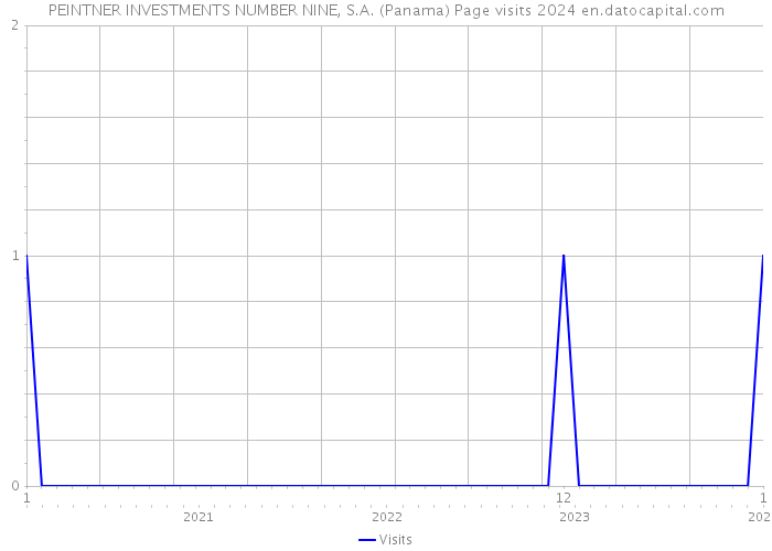 PEINTNER INVESTMENTS NUMBER NINE, S.A. (Panama) Page visits 2024 