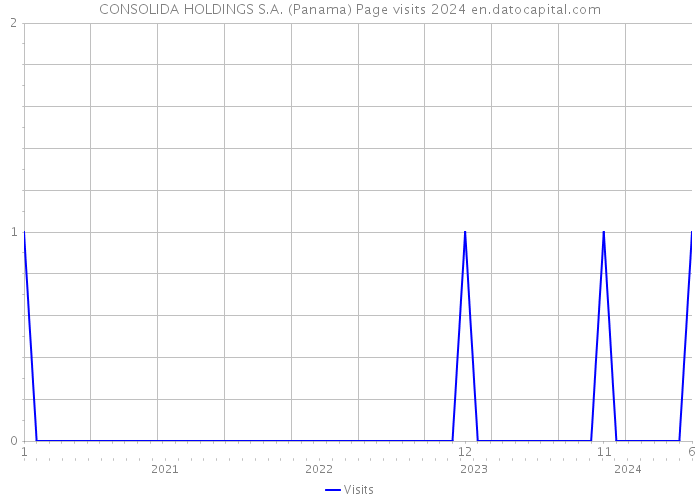 CONSOLIDA HOLDINGS S.A. (Panama) Page visits 2024 