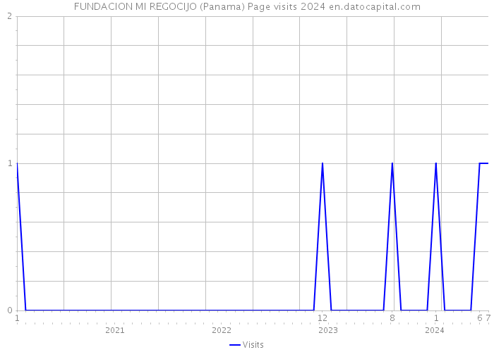 FUNDACION MI REGOCIJO (Panama) Page visits 2024 
