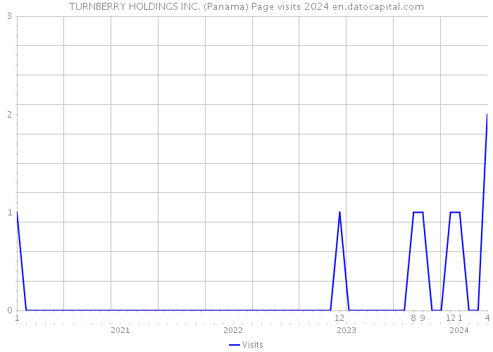 TURNBERRY HOLDINGS INC. (Panama) Page visits 2024 