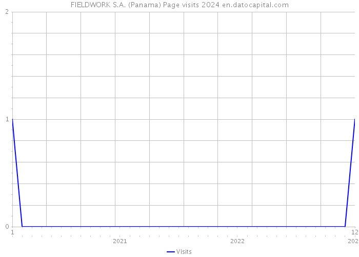 FIELDWORK S.A. (Panama) Page visits 2024 