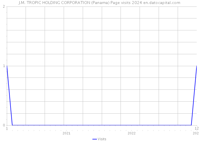 J.M. TROPIC HOLDING CORPORATION (Panama) Page visits 2024 