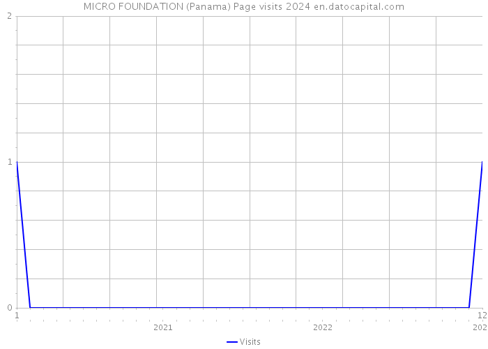 MICRO FOUNDATION (Panama) Page visits 2024 