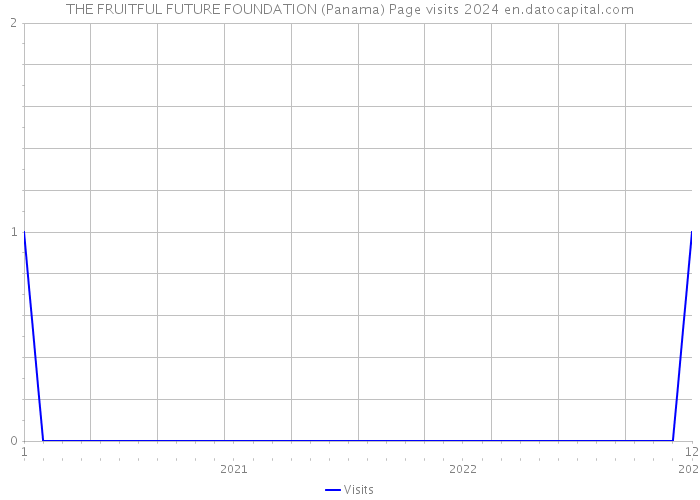 THE FRUITFUL FUTURE FOUNDATION (Panama) Page visits 2024 