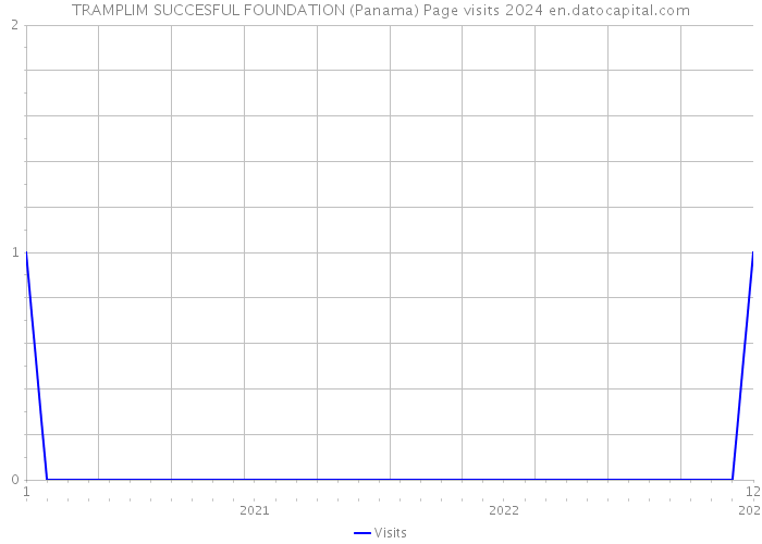 TRAMPLIM SUCCESFUL FOUNDATION (Panama) Page visits 2024 