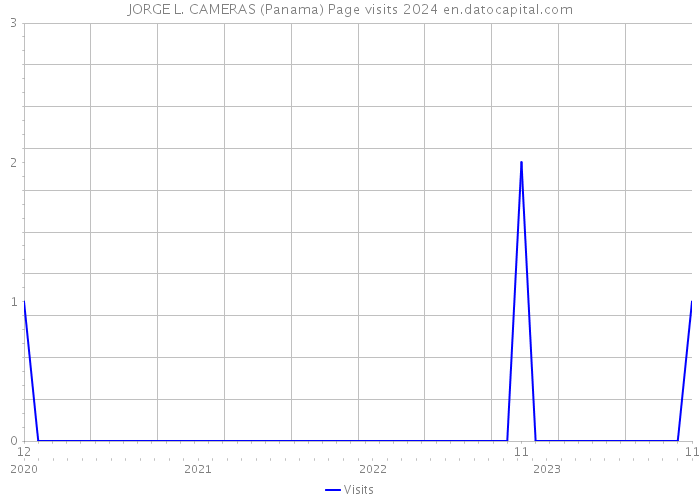 JORGE L. CAMERAS (Panama) Page visits 2024 