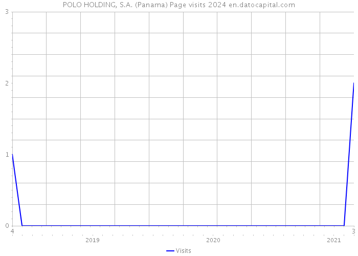 POLO HOLDING, S.A. (Panama) Page visits 2024 