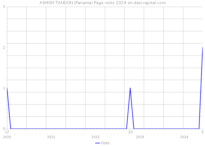 ASHISH TANDON (Panama) Page visits 2024 
