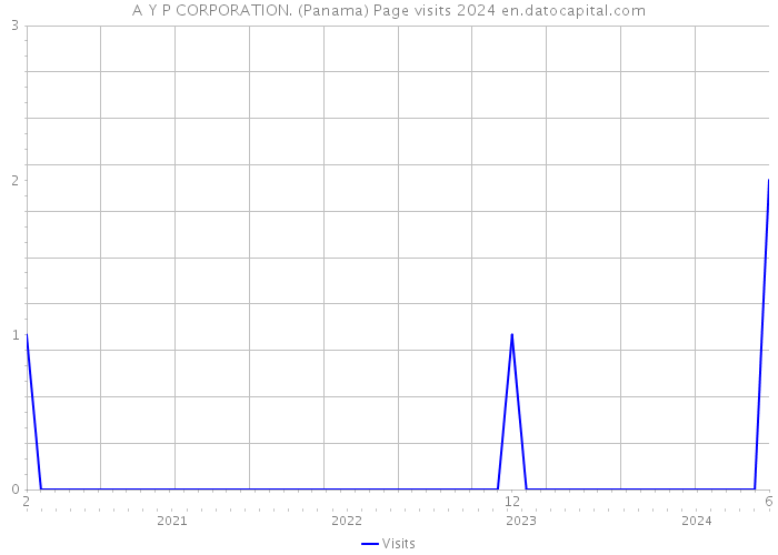 A Y P CORPORATION. (Panama) Page visits 2024 