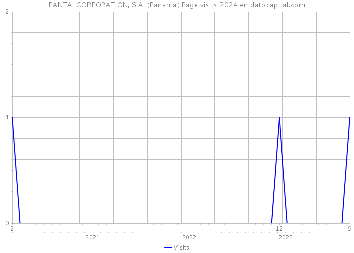 PANTAI CORPORATION, S.A. (Panama) Page visits 2024 
