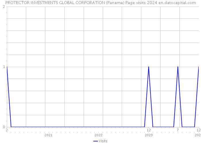 PROTECTOR INVESTMENTS GLOBAL CORPORATION (Panama) Page visits 2024 