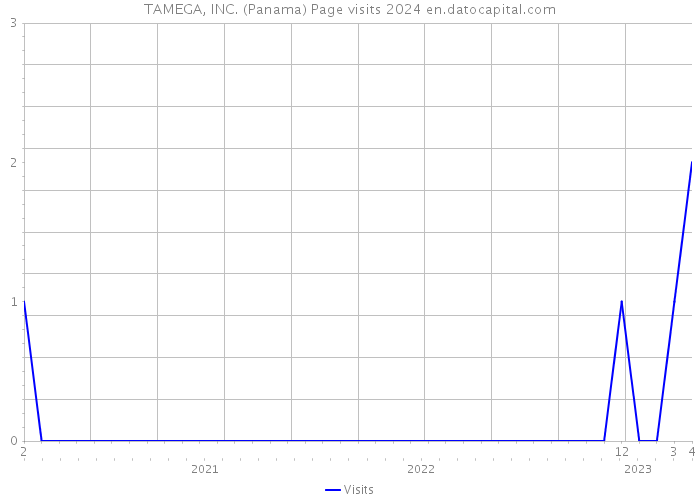 TAMEGA, INC. (Panama) Page visits 2024 