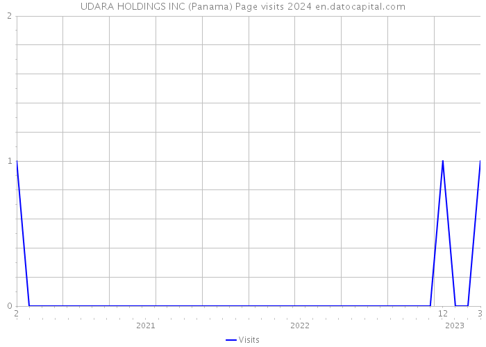UDARA HOLDINGS INC (Panama) Page visits 2024 