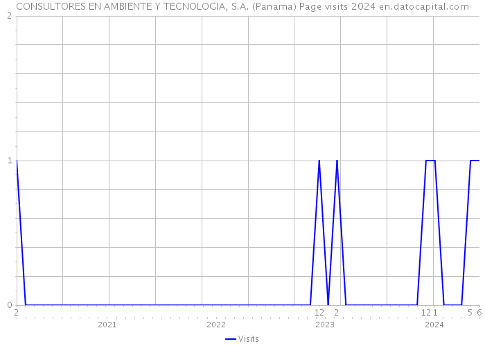 CONSULTORES EN AMBIENTE Y TECNOLOGIA, S.A. (Panama) Page visits 2024 