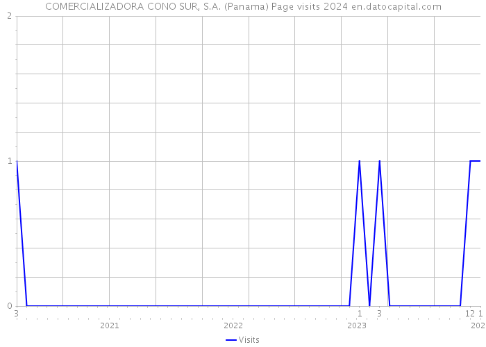 COMERCIALIZADORA CONO SUR, S.A. (Panama) Page visits 2024 