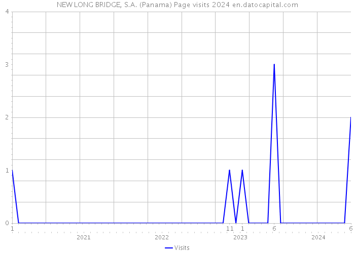 NEW LONG BRIDGE, S.A. (Panama) Page visits 2024 