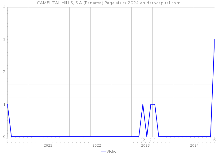 CAMBUTAL HILLS, S.A (Panama) Page visits 2024 