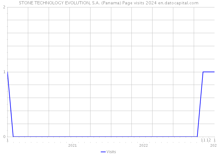 STONE TECHNOLOGY EVOLUTION, S.A. (Panama) Page visits 2024 