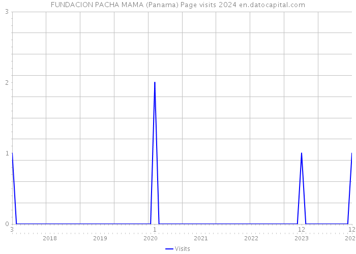 FUNDACION PACHA MAMA (Panama) Page visits 2024 