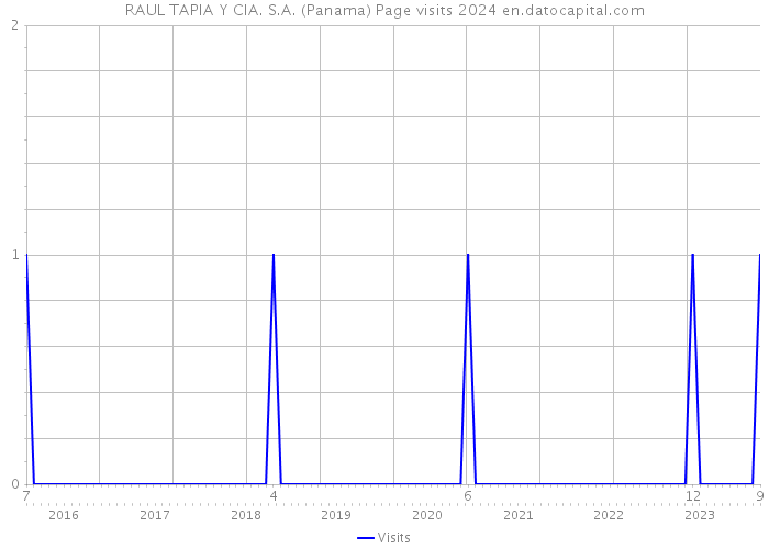 RAUL TAPIA Y CIA. S.A. (Panama) Page visits 2024 