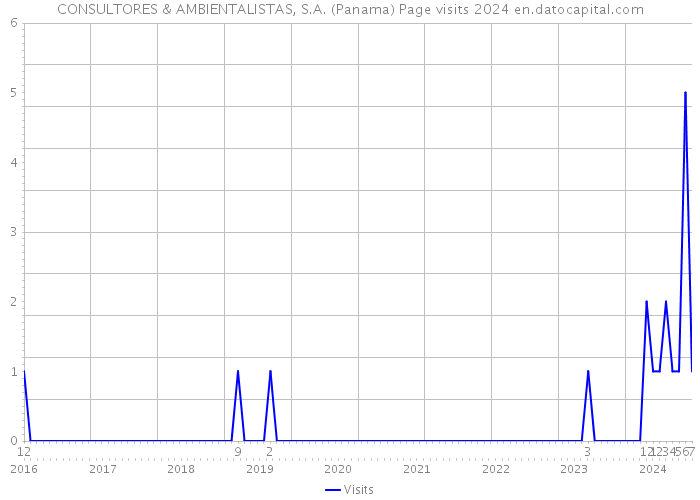 CONSULTORES & AMBIENTALISTAS, S.A. (Panama) Page visits 2024 