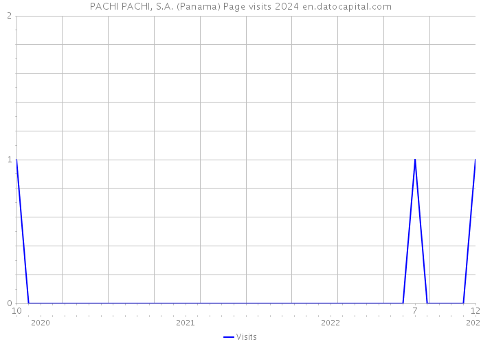 PACHI PACHI, S.A. (Panama) Page visits 2024 