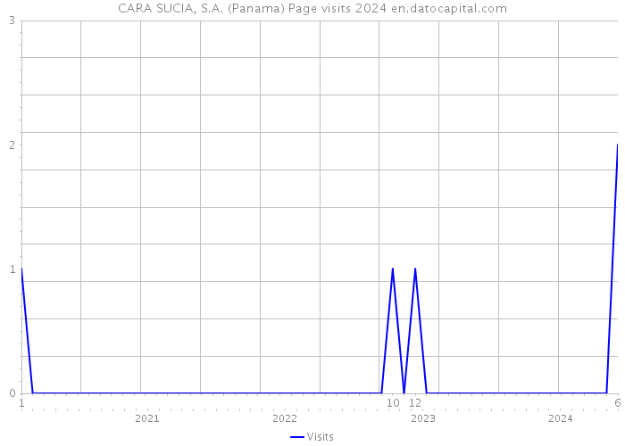 CARA SUCIA, S.A. (Panama) Page visits 2024 