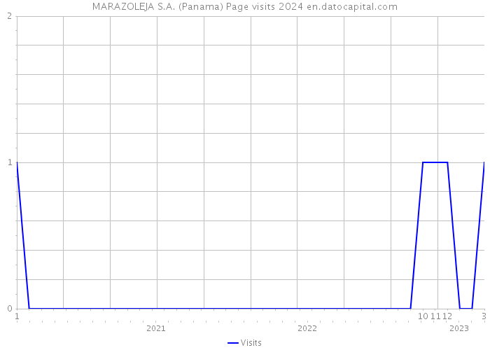 MARAZOLEJA S.A. (Panama) Page visits 2024 