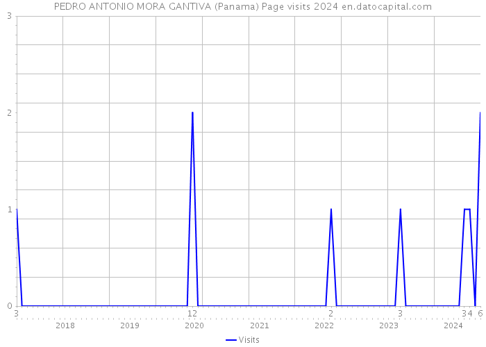 PEDRO ANTONIO MORA GANTIVA (Panama) Page visits 2024 