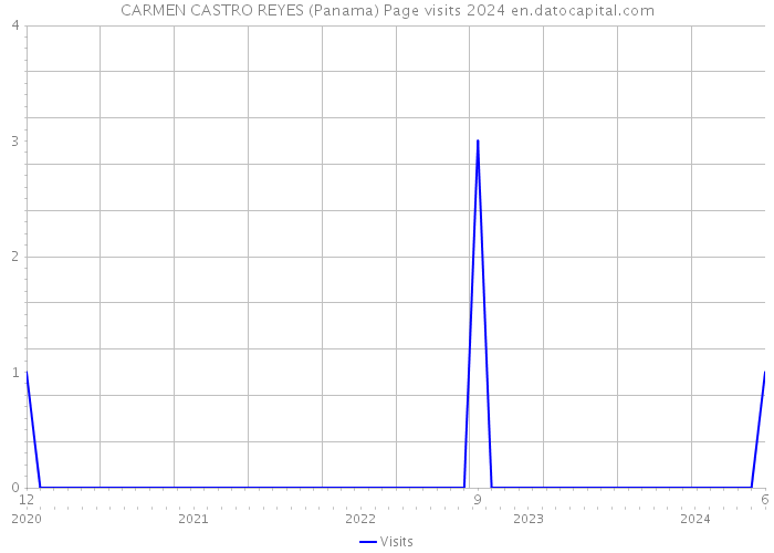 CARMEN CASTRO REYES (Panama) Page visits 2024 