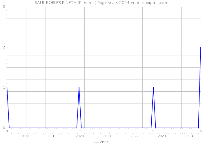 SAUL ROBLES PINEDA (Panama) Page visits 2024 