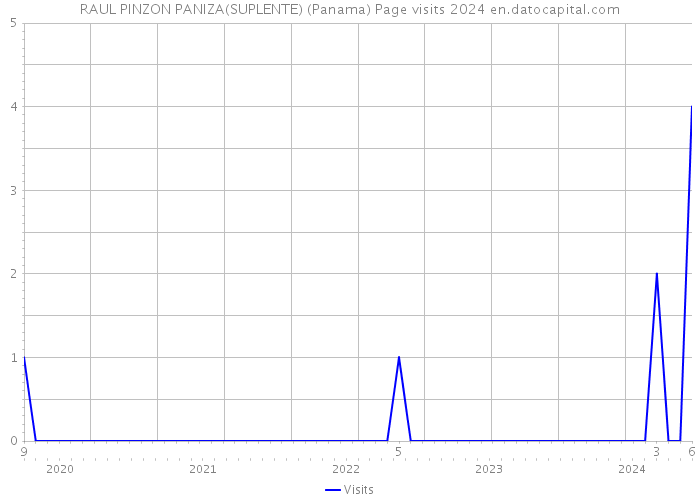 RAUL PINZON PANIZA(SUPLENTE) (Panama) Page visits 2024 