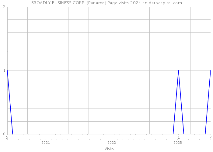 BROADLY BUSINESS CORP. (Panama) Page visits 2024 