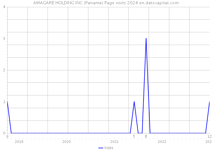 AMAGARE HOLDING INC (Panama) Page visits 2024 