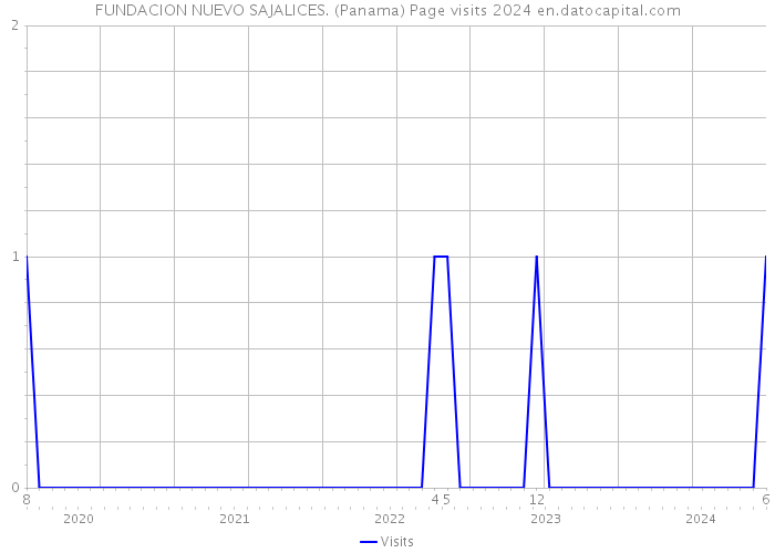 FUNDACION NUEVO SAJALICES. (Panama) Page visits 2024 