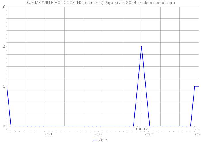 SUMMERVILLE HOLDINGS INC. (Panama) Page visits 2024 