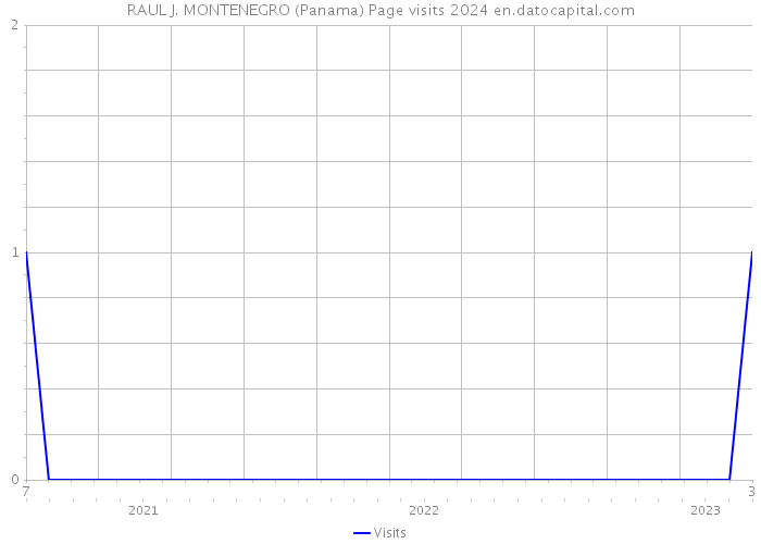 RAUL J. MONTENEGRO (Panama) Page visits 2024 
