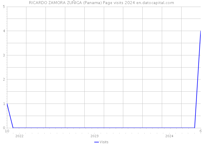 RICARDO ZAMORA ZUÑIGA (Panama) Page visits 2024 