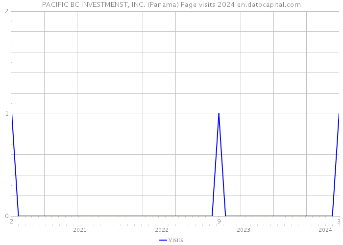 PACIFIC BC INVESTMENST, INC. (Panama) Page visits 2024 