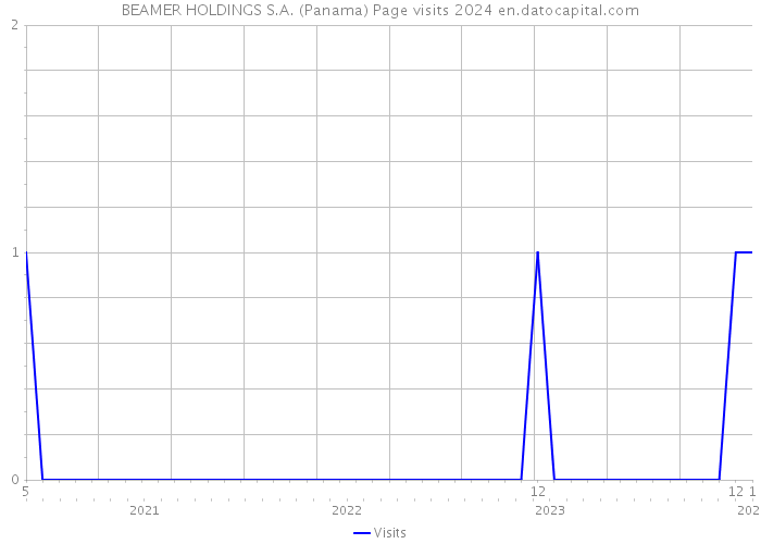 BEAMER HOLDINGS S.A. (Panama) Page visits 2024 
