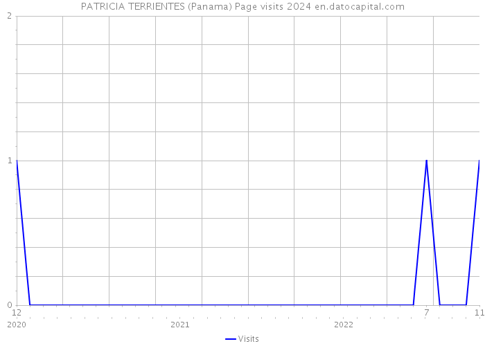 PATRICIA TERRIENTES (Panama) Page visits 2024 