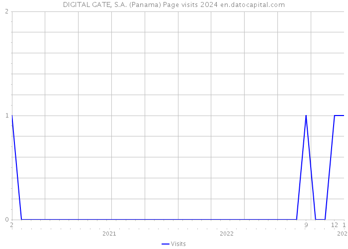 DIGITAL GATE, S.A. (Panama) Page visits 2024 